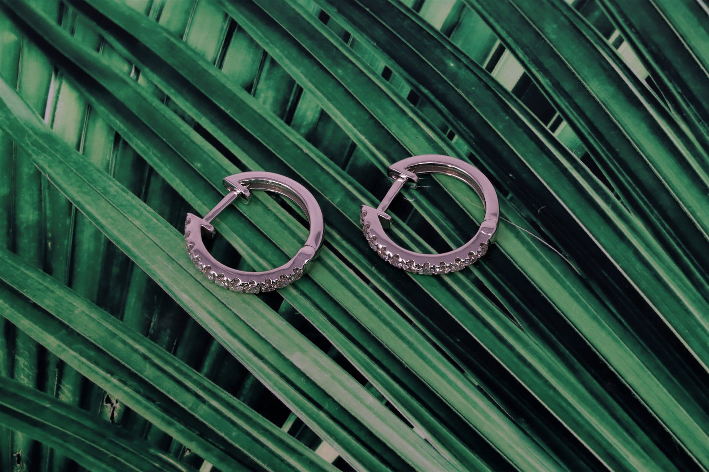 14K White Gold Lab Grown Diamond 3/8 Ct Hoop Earrings 1.5cm Diameter with IGI Certificate